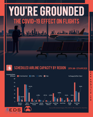 You're grounded the cover-19 effect on flights